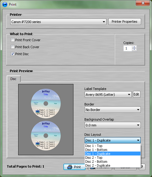 Disc Layout Option Print.jpg